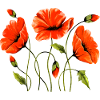Fleur