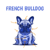Anatomie d'un bouledogue français
