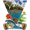 Tahiti French Polynesia Dauphin