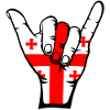 Georgia Flag Surfing Icon