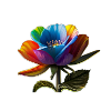 Rainbow Flower