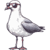 Cool seagull with sunglasses
