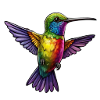 Rainbow Hummingbird