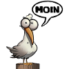 Espèce de moule goéland