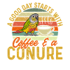 Perruche Molina Perroquet Perruche oiseau