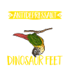 Molinasittich Papagei Vogel Sittich