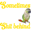 Perruche Molina Perroquet Perruche oiseau