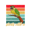 Molinasittich Papagei Vogel Sittich
