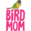 Molinasittich Papagei Vogel Sittich