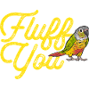 Molina Parakeet Parrot Bird Parakeet