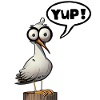 Möwe Yup Ja