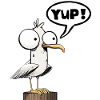 YUP