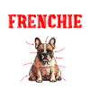 Bouledogue français Plan d’un Frenchie