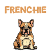 Bouledogue français Plan d’un Frenchie