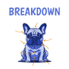 French Bulldog BREAKDOWN Frenchie