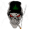 Skull with hemp