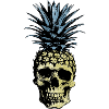 PINEAPPLE SKULL LIGHT BACKGROUNDS