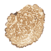Truffle Slice Mushroom