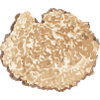 Truffle Slice Brown