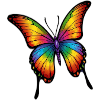 Regenbogen Schmetterling