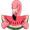 Flamingo Summer Watermelon Delight
