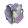 Fallen Angel