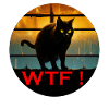 WTF Katze im Abendlicht