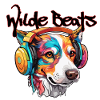 Headphones / Audio / Music / Sound / Cool