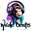 Headphones / Audio / Music / Sound / Cool