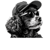 Poodle Dad