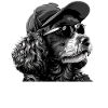 Poodle Father