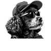 Poodle Mom