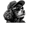 Poodle with Sunglasses