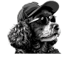 No Fluffs Given