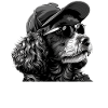 Poodle Dad