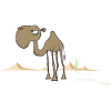 Camel