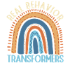 RBT therapist, behavioral psychologist