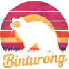 Binturong Bearcat Gift