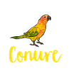 Parakeet, Parrot, Parakeet, Bird