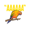 Parakeet, Parrot, Parakeet, Bird