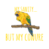 Parakeet, Parrot, Parakeet, Bird