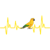 Parakeet, Parrot, Parakeet, Bird
