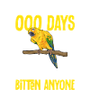 Parakeet, Parrot, Parakeet, Bird