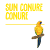 Parakeet, Parrot, Parakeet, Bird