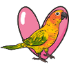 Parakeet, Parrot, Parakeet, Bird
