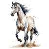 Aquarelle Cheval Capture Le Vent