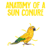 Parakeet, Parrot, Parakeet, Bird