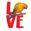 Parakeet, Parrot, Parakeet, Bird