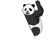 Giant Panda Panda Bear Pandas