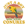 Parakeet, Parrot, Parakeet, Bird